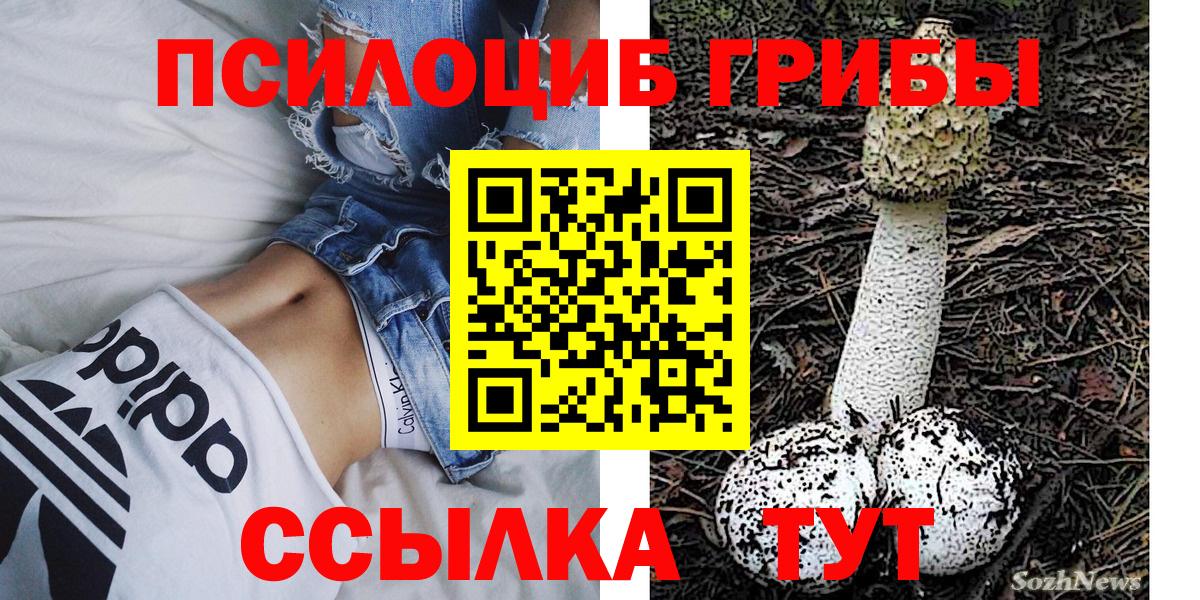 Псилоцибиновые грибы Psilocybe Ишим